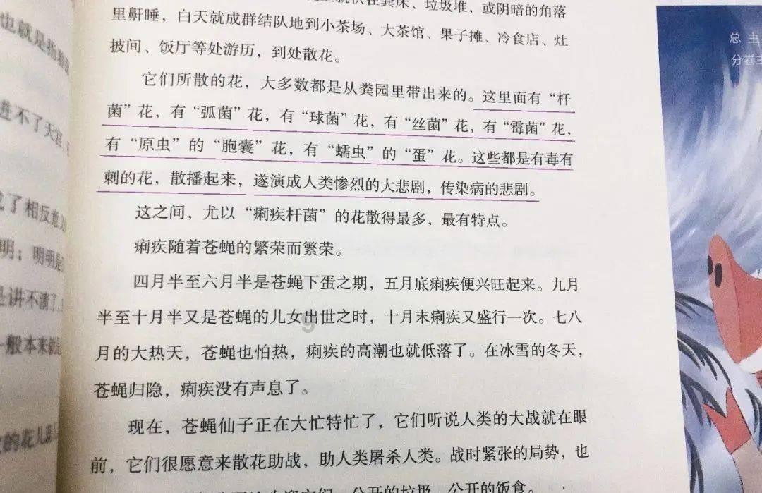 国际商标可以运用在何处？